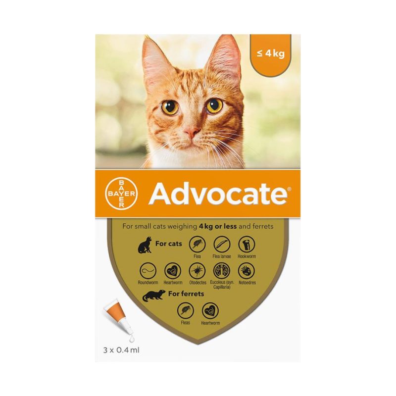 Advocate gato hasta 4 kg.