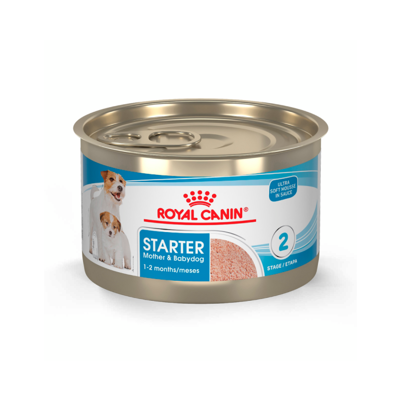 Royal Canin Lata - Starter Mousse