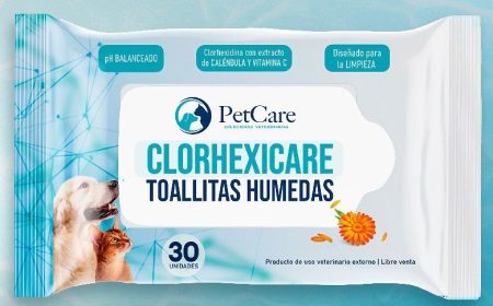 Clorhexicare toallas húmedas 30 unidades
